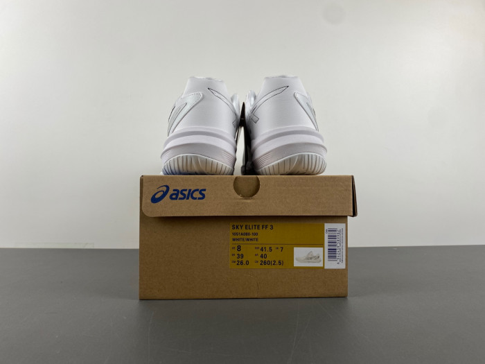 ASICS SHOES