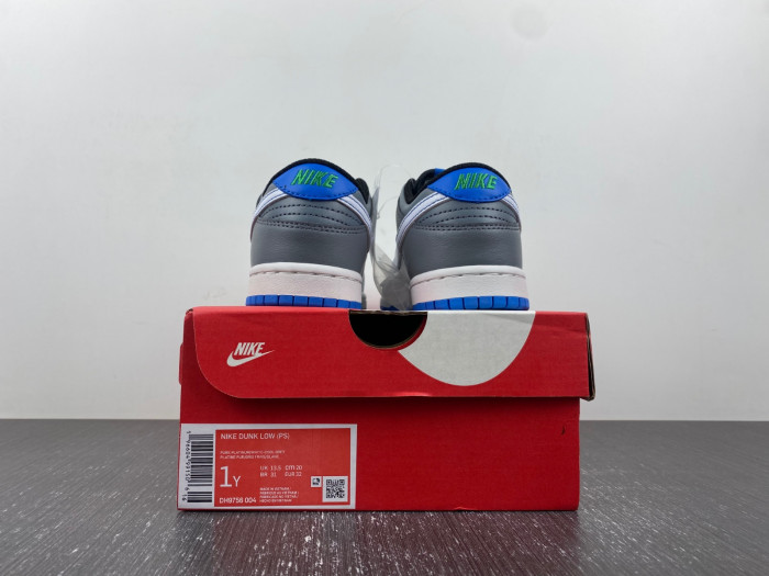 kids dunk shoes