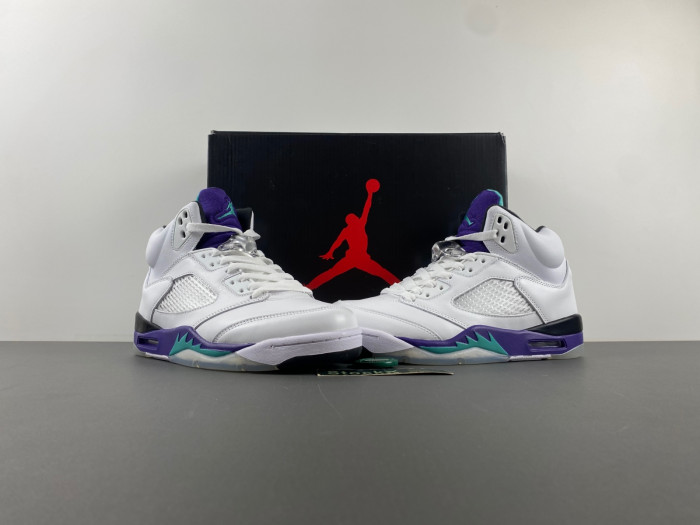 Air Jordan 5 Retro Grape(2013) 136027-108