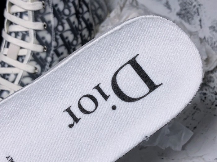 b23 oblique sneaker