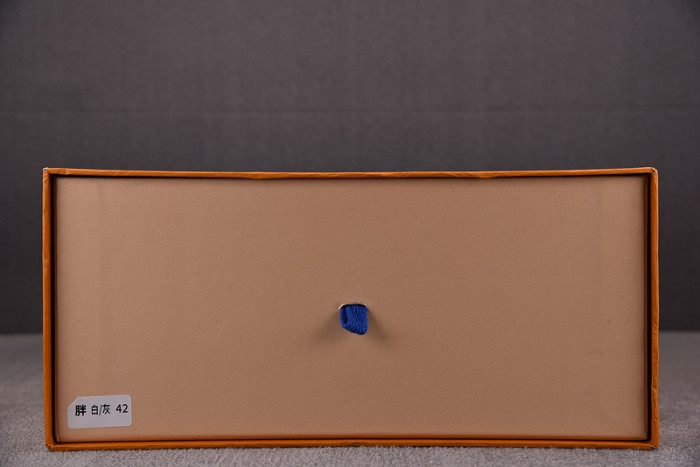 l1vv trainer