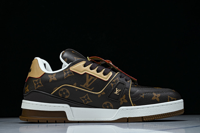L1VV TRAINER