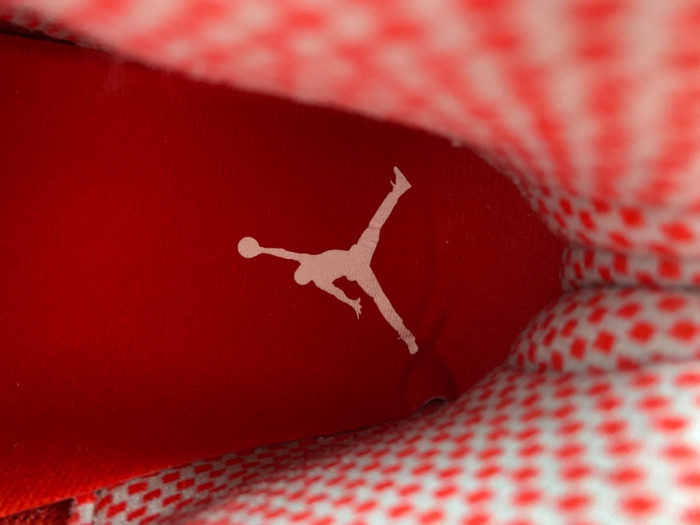 Air Jordan 10 Retro “Red Steel” 310805-161
