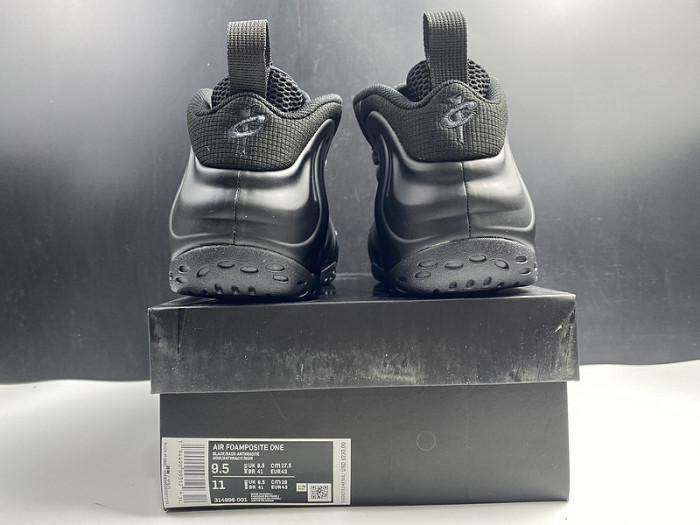 nike air foamposite one 314995-001