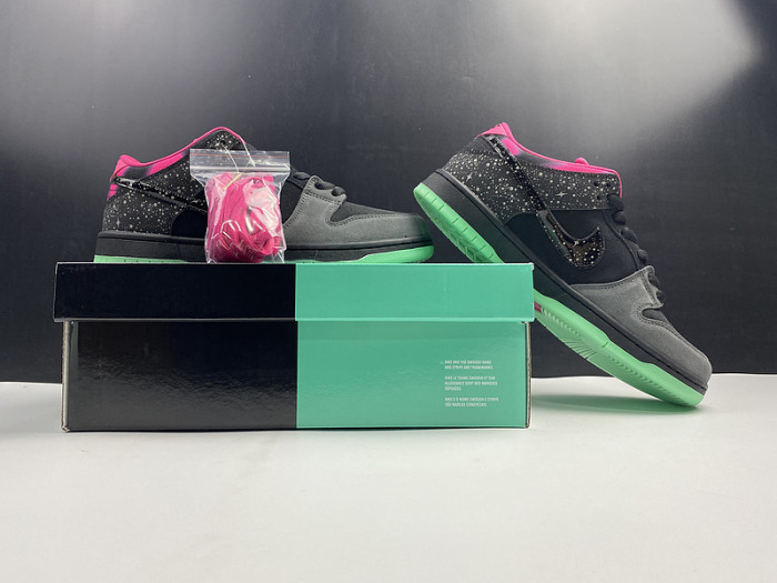 nike dunk sb low premier "N0*Hern lights" 724183-063