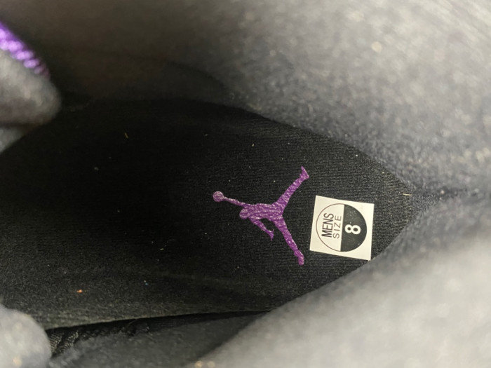 Air Jordan 11 purple CT8012-501