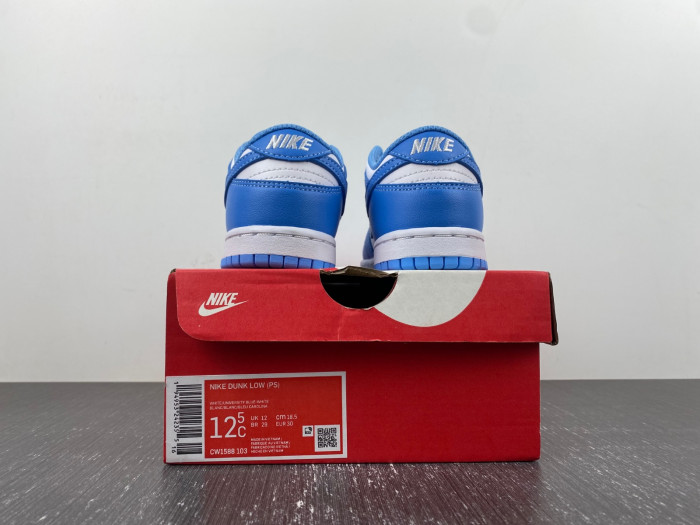 kids dunk shoes