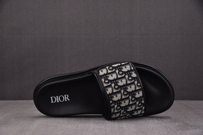 D1OR Slides