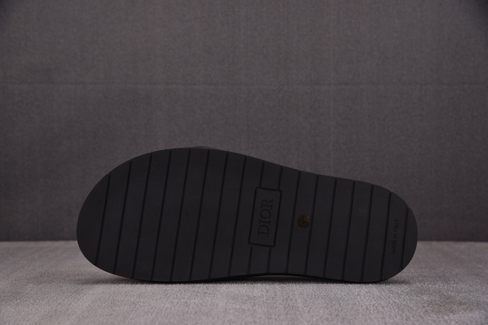 D1OR Slides
