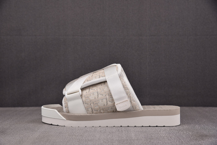 D1OR Slides