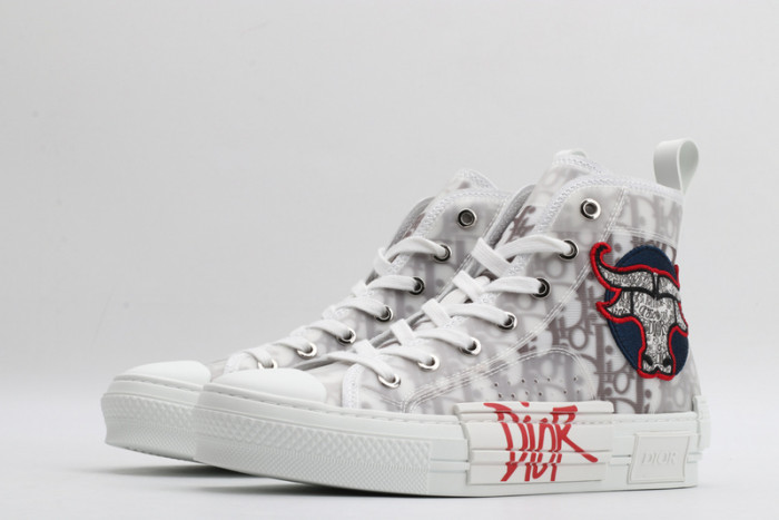 b23 oblique sneaker