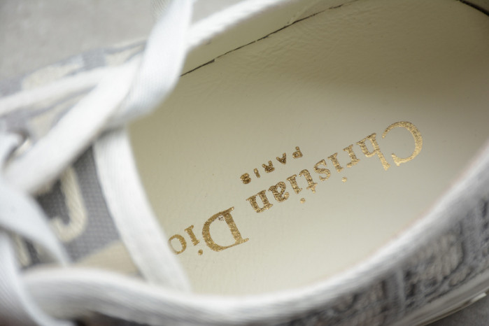 b23 oblique sneaker