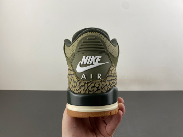 Air Jordan 3 Retro Family Affair DN3707-202