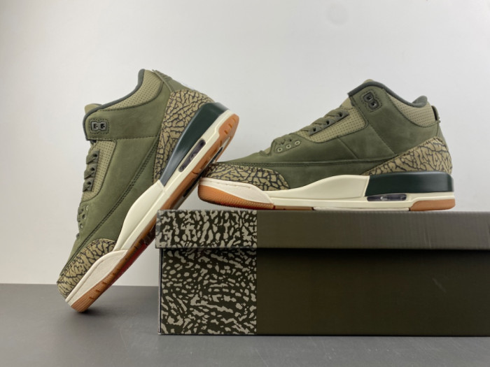 Air Jordan 3 Retro Family Affair DN3707-202