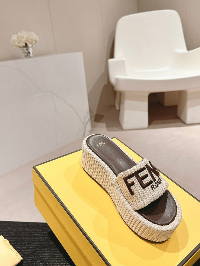 fend1 slide