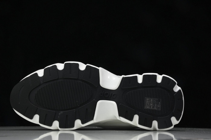 D1OR B44 Sneakers
