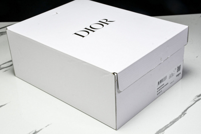 D1OR B44 Sneakers