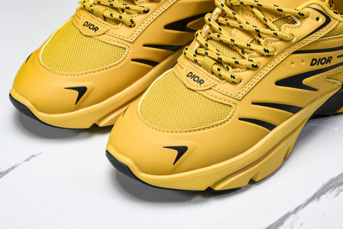 D1OR B44 Sneakers