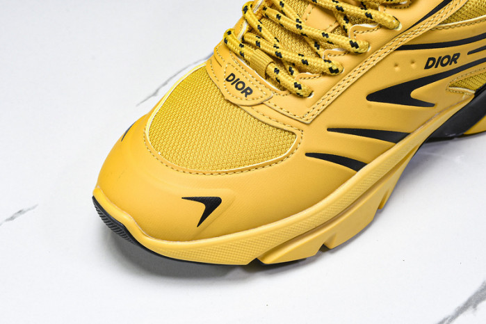D1OR B44 Sneakers