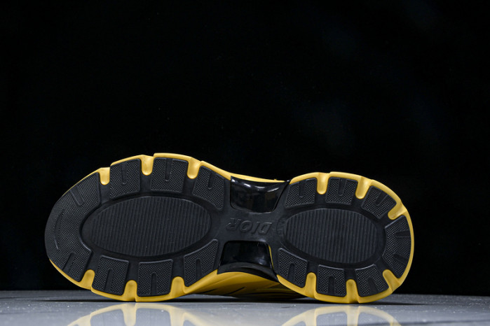 D1OR B44 Sneakers
