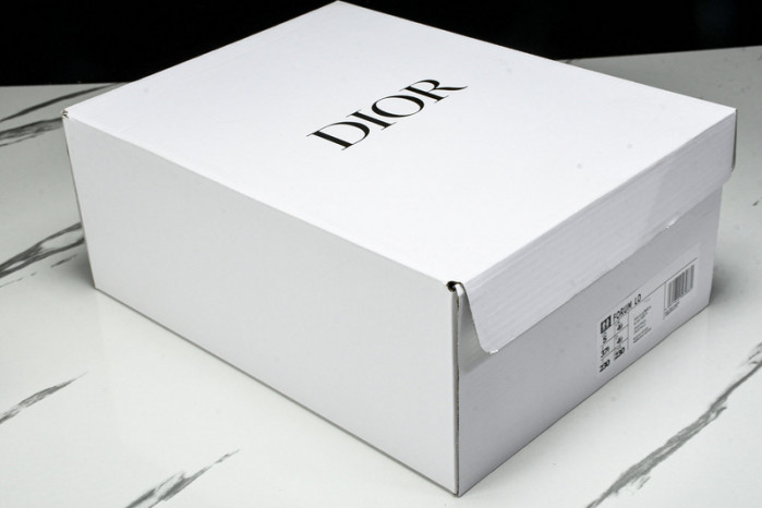 D1OR B44 Sneakers