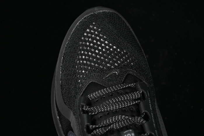 Nike Air Zoom Pegasus Premium Black Metallic Silver HQ2592-005