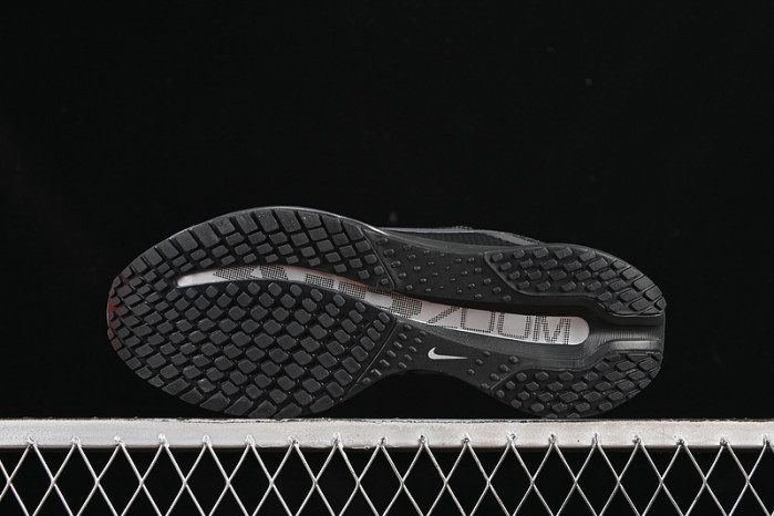 Nike Air Zoom Pegasus Premium Black Metallic Silver HQ2592-005