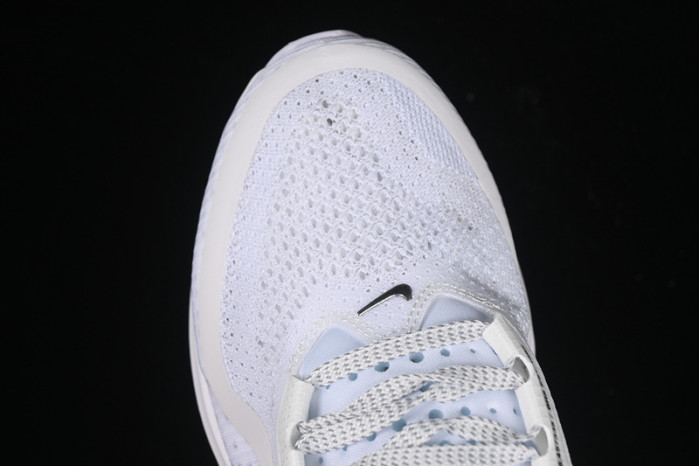 Nike Air Zoom Pegasus Premium White Metallic Silver HQ2592-102