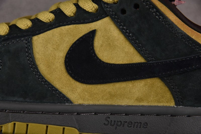Nike SB Dunk Low HQ8487-300
