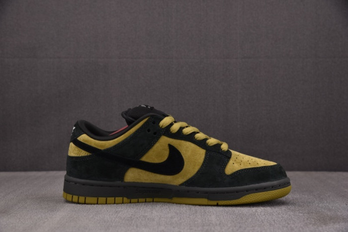 Nike SB Dunk Low HQ8487-300