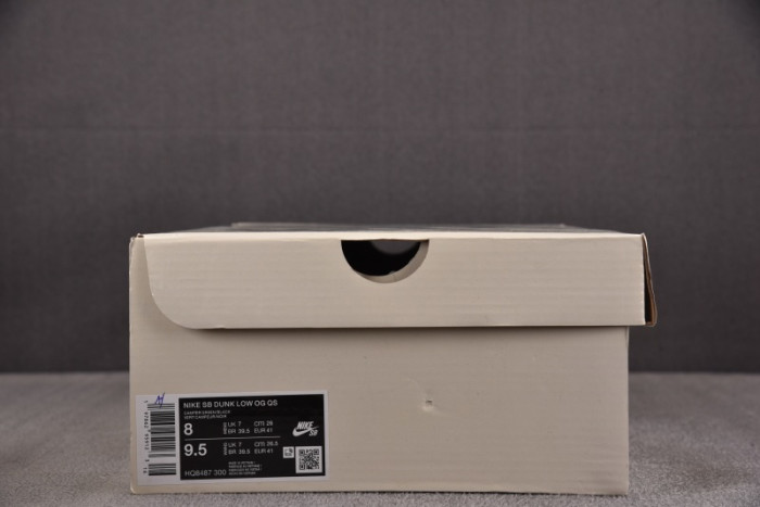 Nike SB Dunk Low HQ8487-300