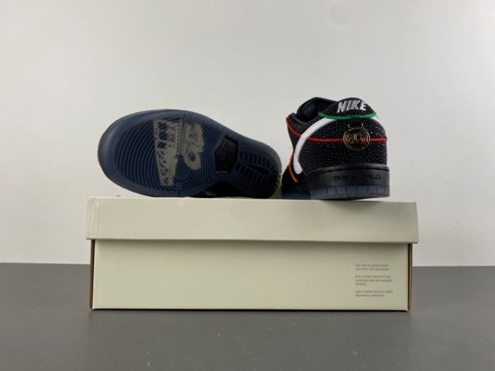 Bronx Girls Skate x Nike SB Dunk Low HV1664-001
