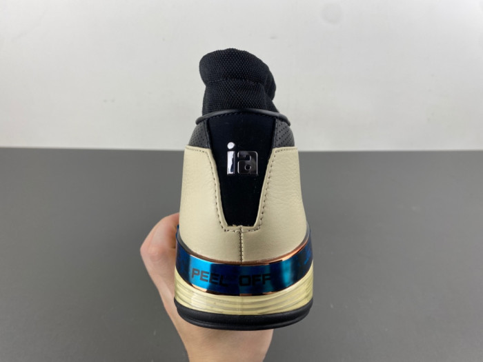 Infinite Archives x Air Jordan Air 17 Retro Low