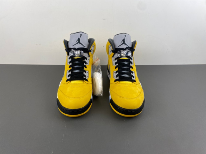 Air Jordan 5 "Tokyo" IO3372-700