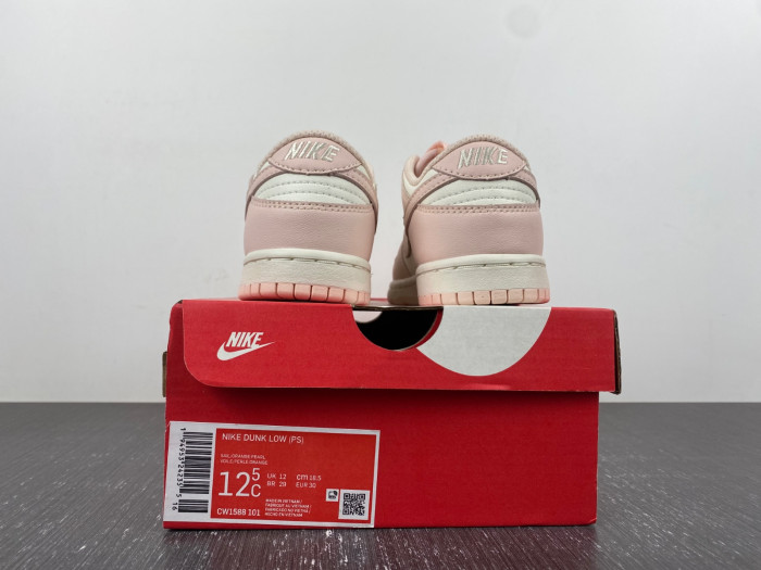 kids dunk shoes
