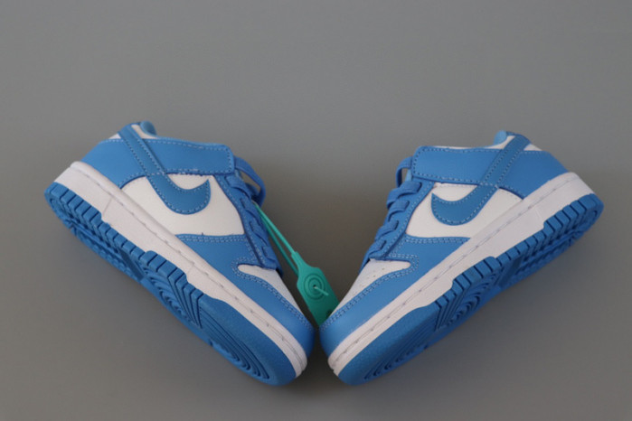 kids dunk shoes