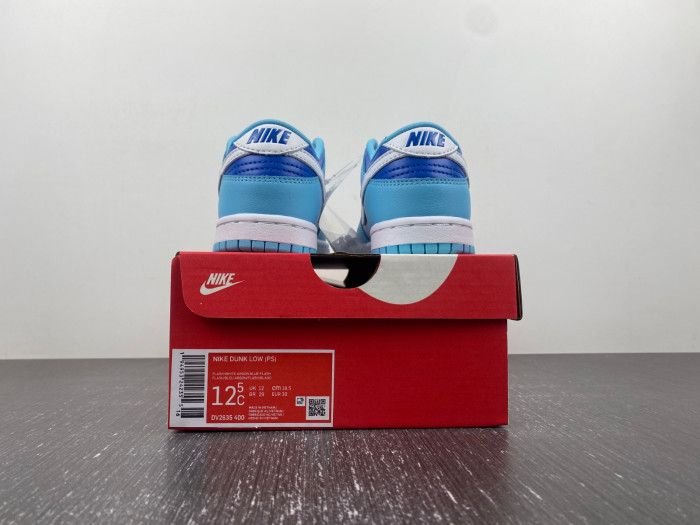 kids dunk shoes